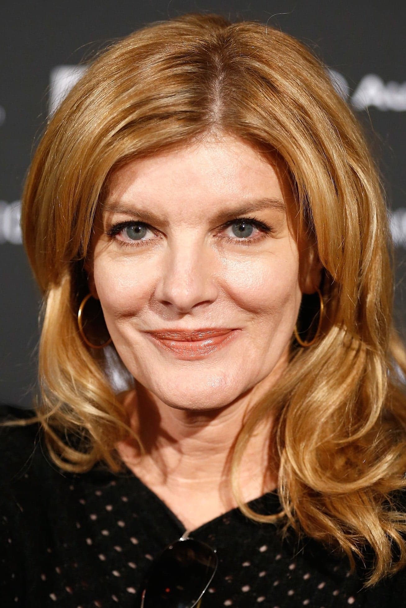 تصویر هنرمند Rene Russo