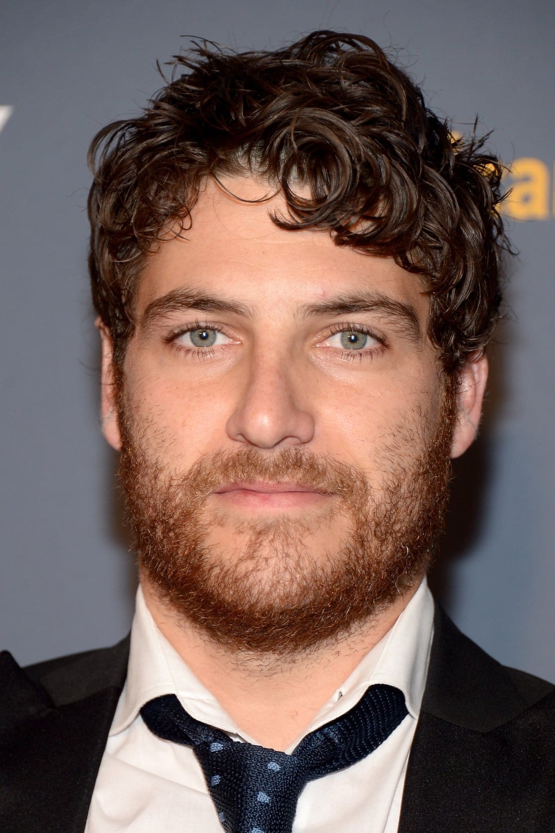 تصویر هنرمند Adam Pally