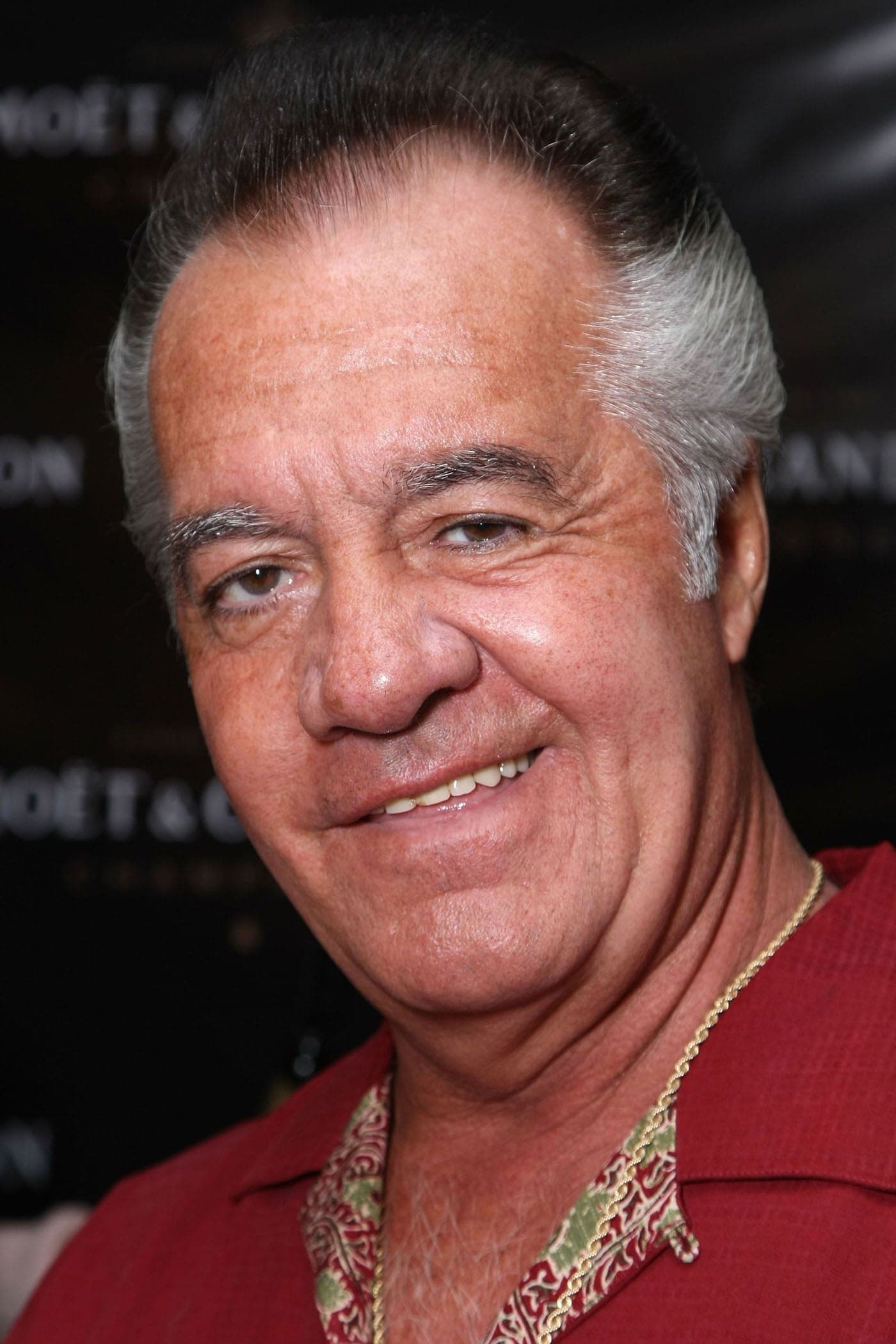 تصویر هنرمند Tony Sirico