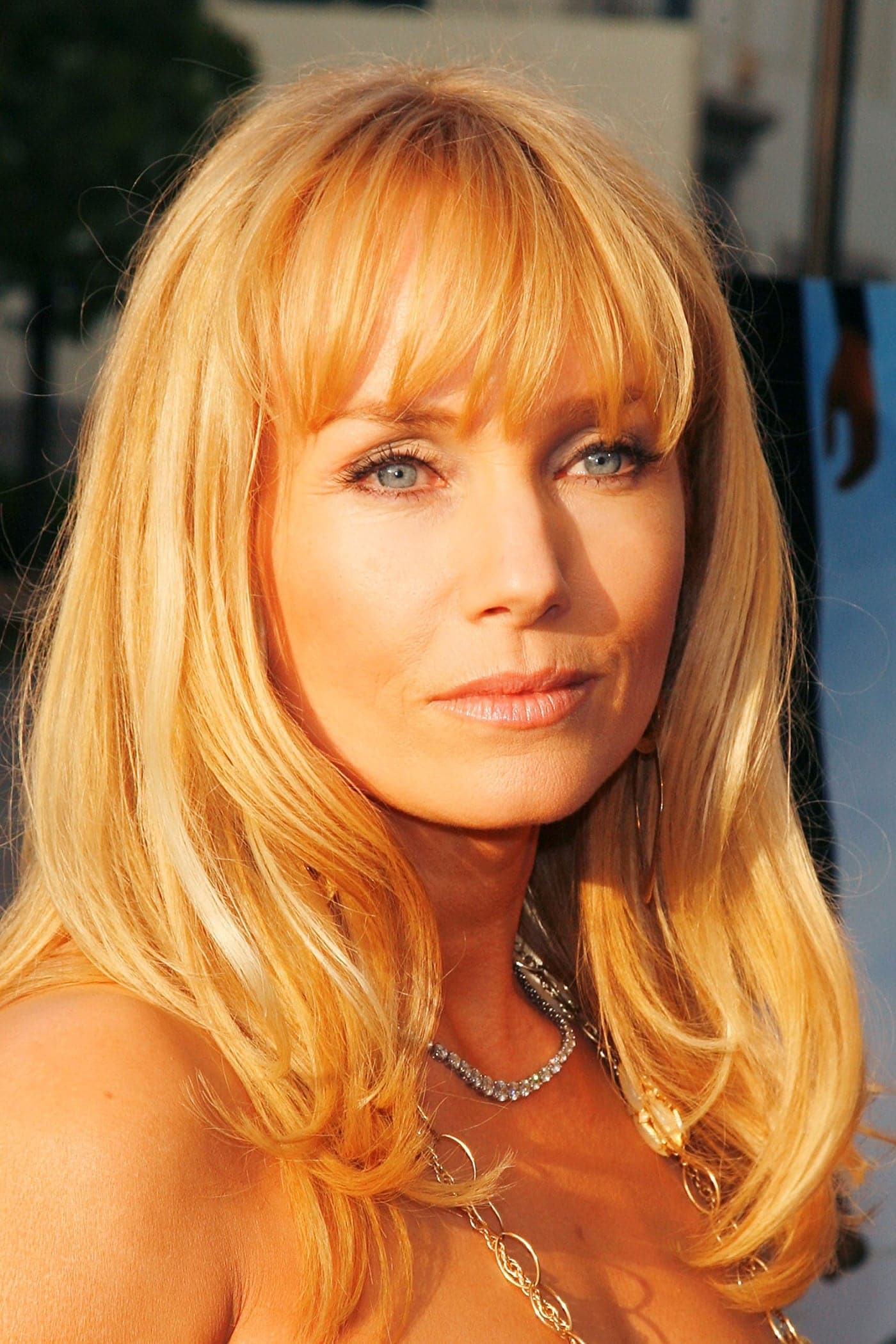 تصویر هنرمند Rebecca De Mornay
