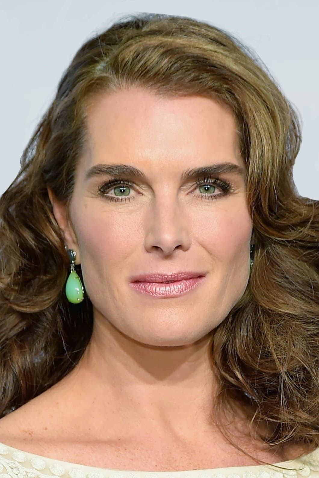 تصویر هنرمند Brooke Shields