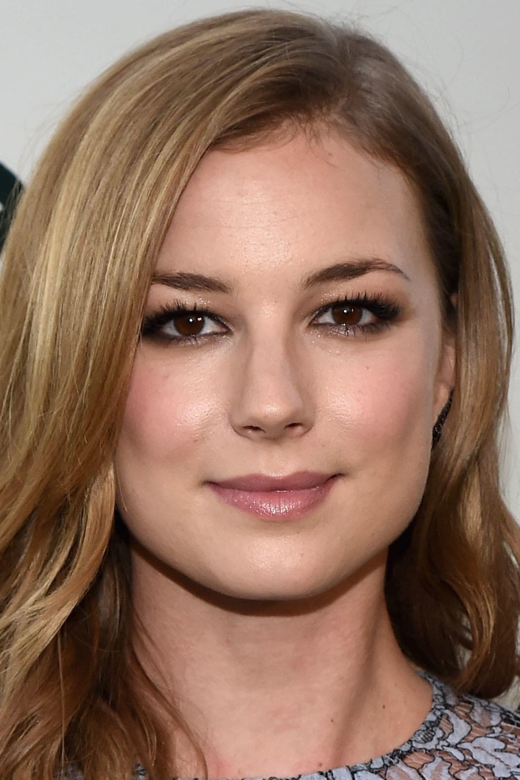 تصویر هنرمند Emily VanCamp