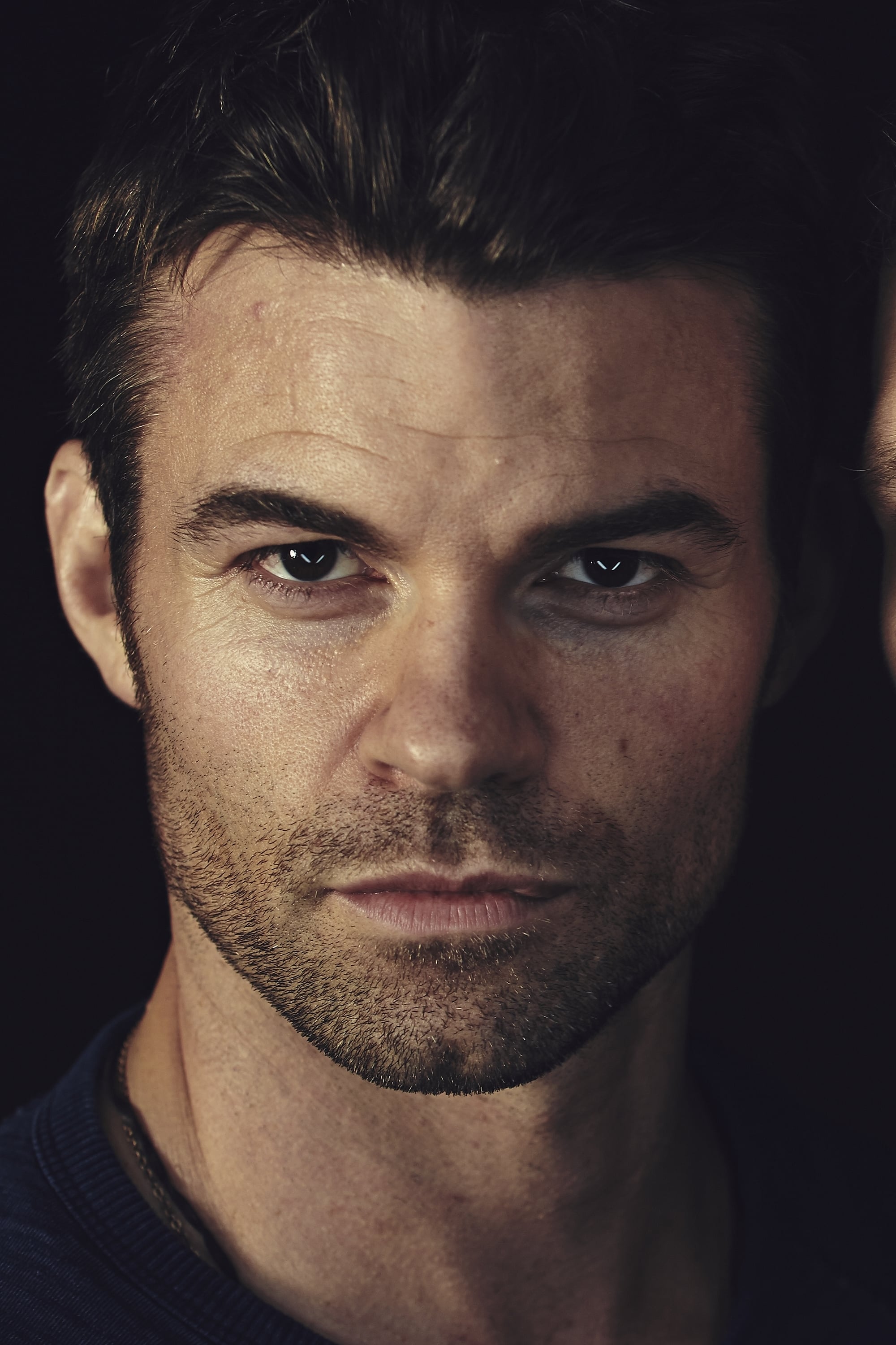 تصویر هنرمند Daniel Gillies