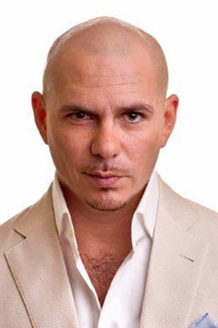 تصویر هنرمند Pitbull