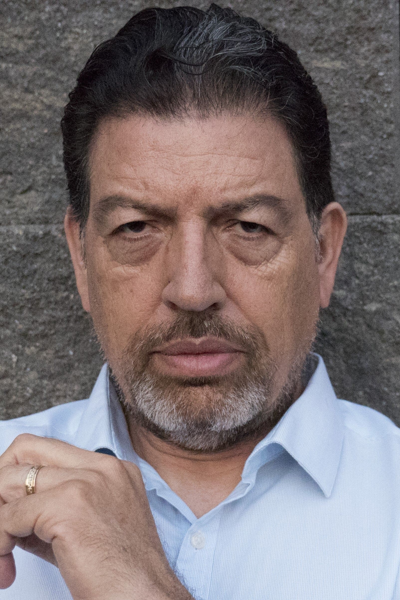 تصویر هنرمند Louis Arcella