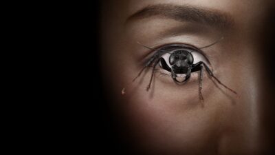 Teaser for Control Freak