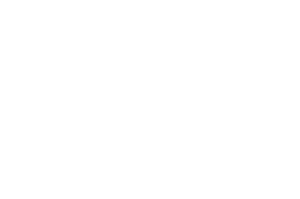 لوگوی رسمی فیلم The Fisher King (1991)