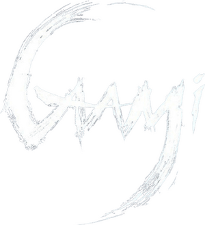 لوگوی رسمی فیلم Gaami (2024)