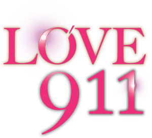 لوگوی رسمی فیلم Love 911 (2012)