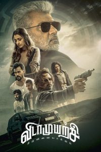dhadak 2 8