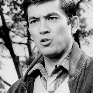 تصویر هنرمند Yūzō Kayama