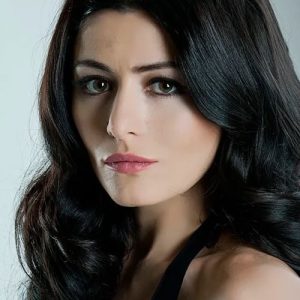 تصویر هنرمند Deniz Çakır