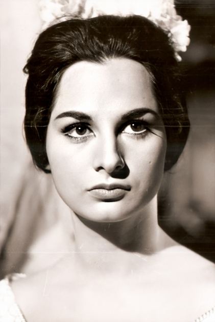 تصویر هنرمند Susana Dosamantes