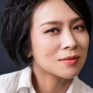 تصویر هنرمند Tu Ling