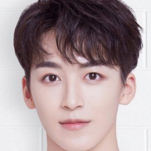 تصویر هنرمند He Luoluo