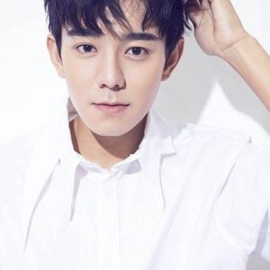 تصویر هنرمند Liu Yihong