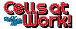 لوگوی رسمی انیمه Cells at Work! (2018)