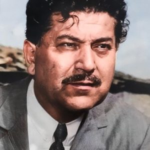 تصویر هنرمند Muharrem Gürses