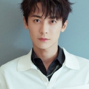 تصویر هنرمند Zhao Zhiwei