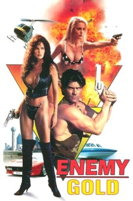 پوستر رسمی فیلم Enemy Gold (1993)