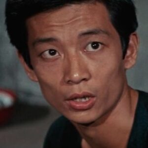 تصویر هنرمند Shan Chin