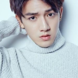 تصویر هنرمند Liu Yaoyuan