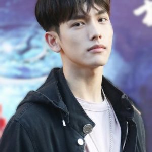 تصویر هنرمند Wang Yilun