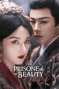 the immortal ascension 37