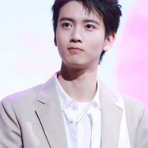 تصویر هنرمند Chen Youwei