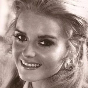 تصویر هنرمند Sharon Farrell