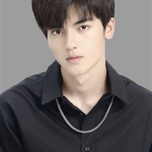 تصویر هنرمند Liu Zirui