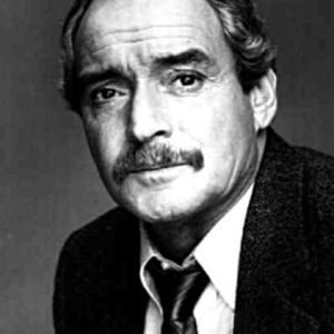 تصویر هنرمند Sandy McPeak