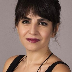 تصویر هنرمند Bihter Dinçel