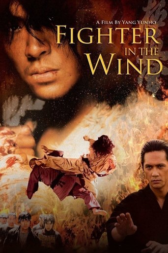 پوستر رسمی فیلم Fighter in the Wind (2004)