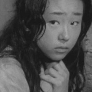 تصویر هنرمند Terumi Niki