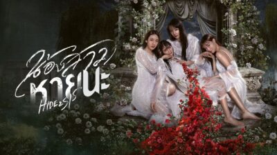 Teaser for Hide And Sis