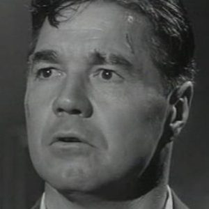 تصویر هنرمند John Daheim