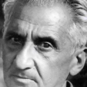 تصویر هنرمند Walter Reisch