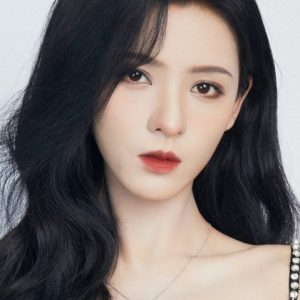 تصویر هنرمند Zhang Yuxi