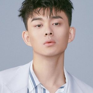 تصویر هنرمند Liu Runnan