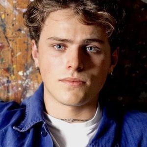 تصویر هنرمند Valdemar Dørmænen Irgens