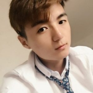 تصویر هنرمند Chen Zhangtaikang