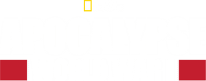 Official logo for سریال Apocalypse: World War I (2014)