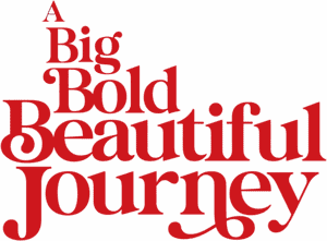 Official logo for فیلم A Big Bold Beautiful Journey (2025)