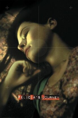 Official poster for فیلم Felicia's Journey (1999)