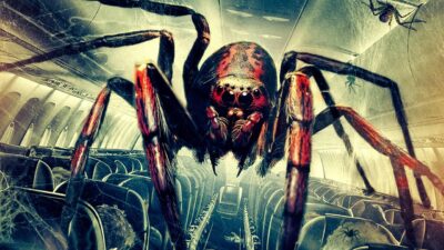 Teaser for Spiders on a Plane