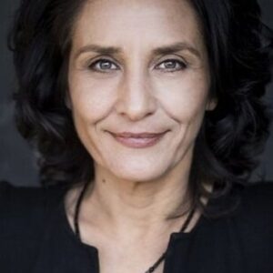 تصویر هنرمند Meral Perin