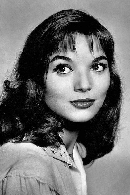 تصویر هنرمند Elsa Martinelli