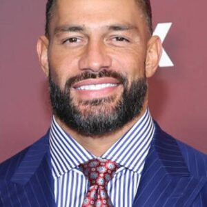 تصویر هنرمند Joe Anoa'i