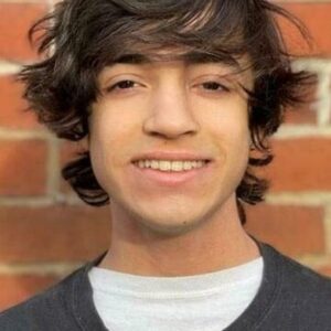 تصویر هنرمند Noah Manzoor